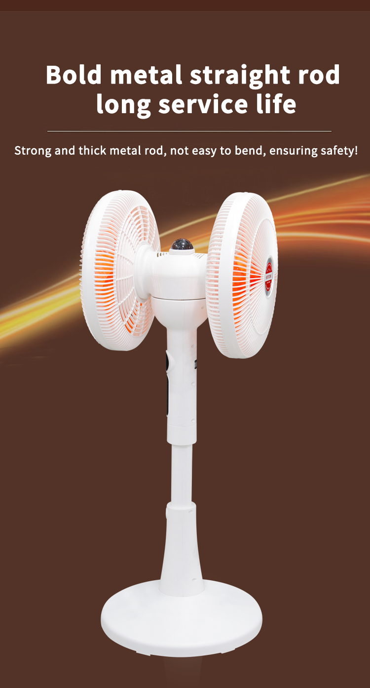 ST360-002DC dual head fan right view