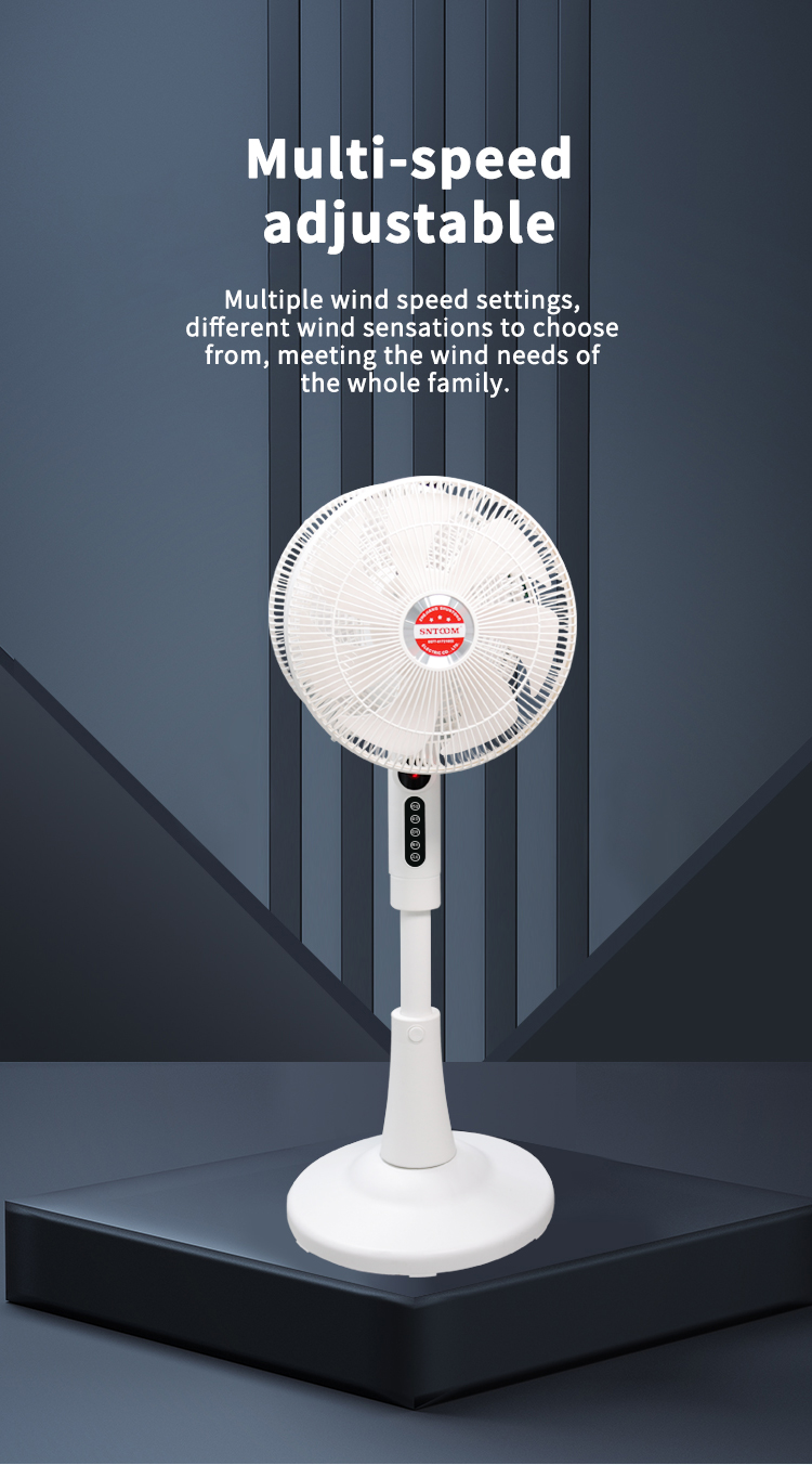 ST360-002DC dual head electric fan (3)