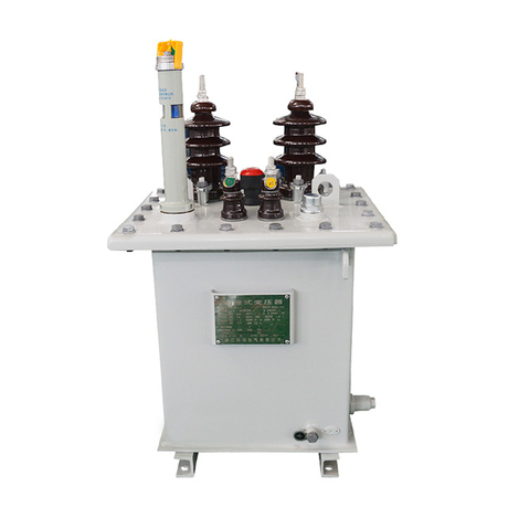 11KV Single-phase Column-mounted Oil-immersed Transformer