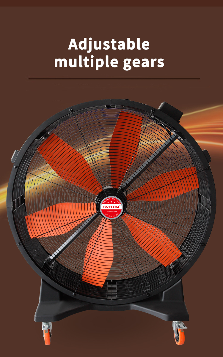 Adjustable multiple gears