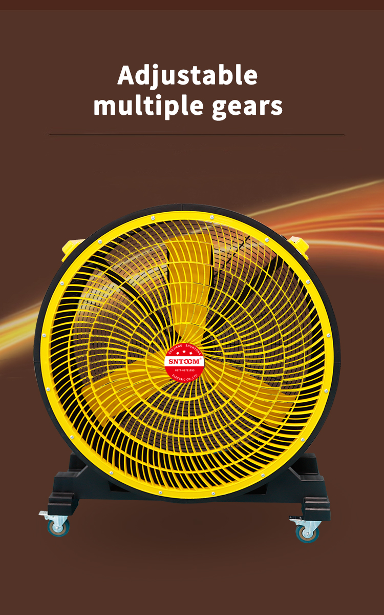 Front view of the fan