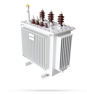 100kva Single-phase Oil-immersed Transformer For Subways