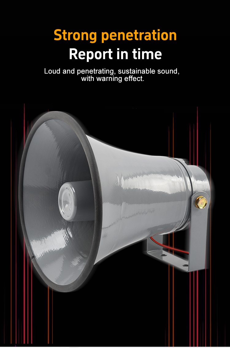BC-2Y Speaker Picture