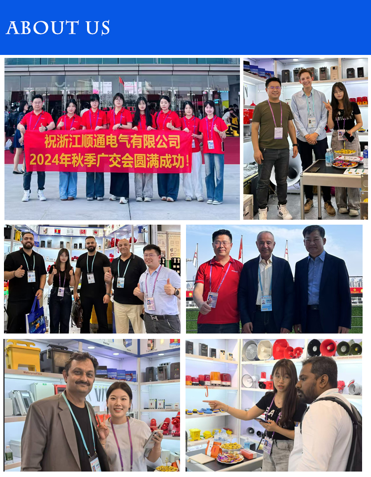 Shuntong Electric 