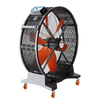 Permanent magnet mobile fan
