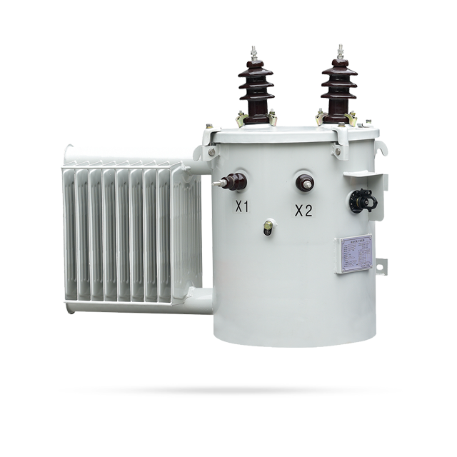 11KV Single-phase Column-mounted Oil-immersed Transformer