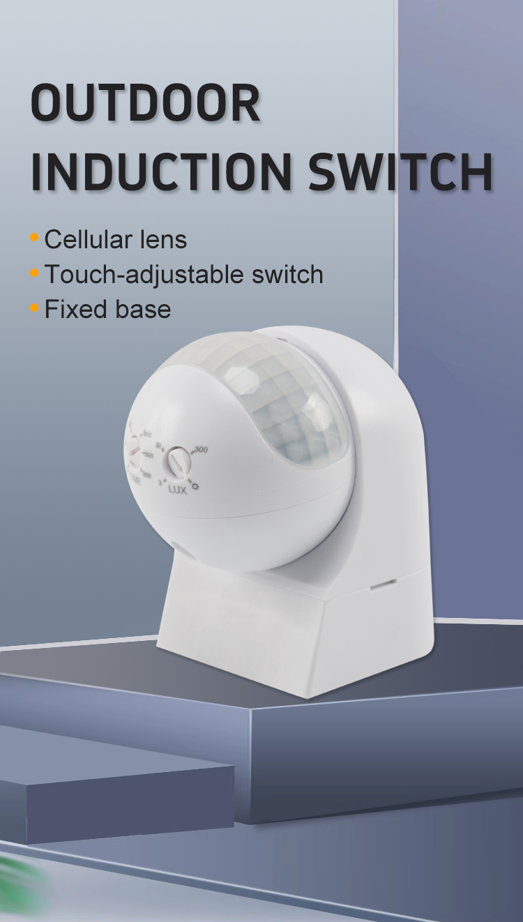 Outdoor induction switch1
