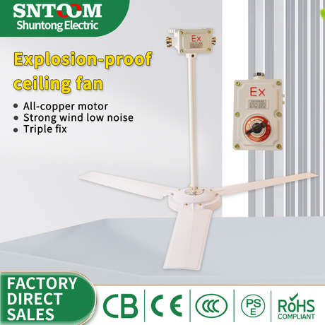 BFC Series Explosion-proof Ceiling Fan